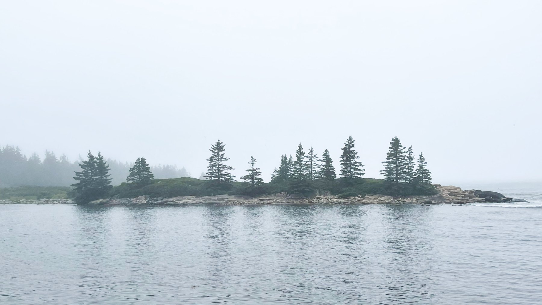 A quiet, misty shoreline in Maine